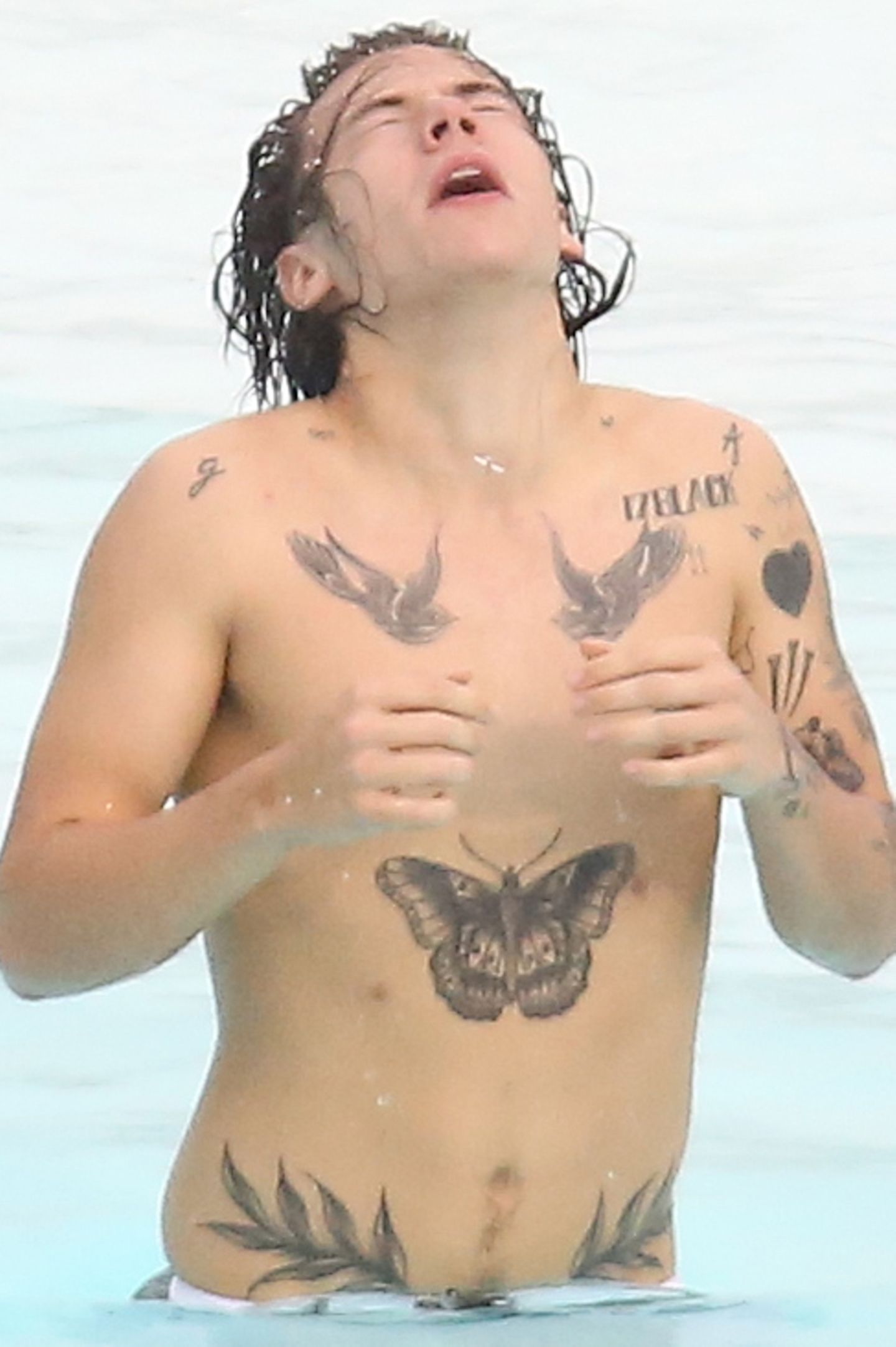 Harry Styles’s chest birds and butterfly tattoos shown clearly in a high-resolution portrait