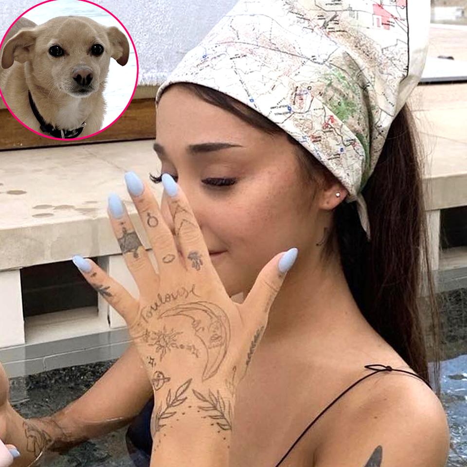 Ariana Grande Toulouse dog tattoo on her hand