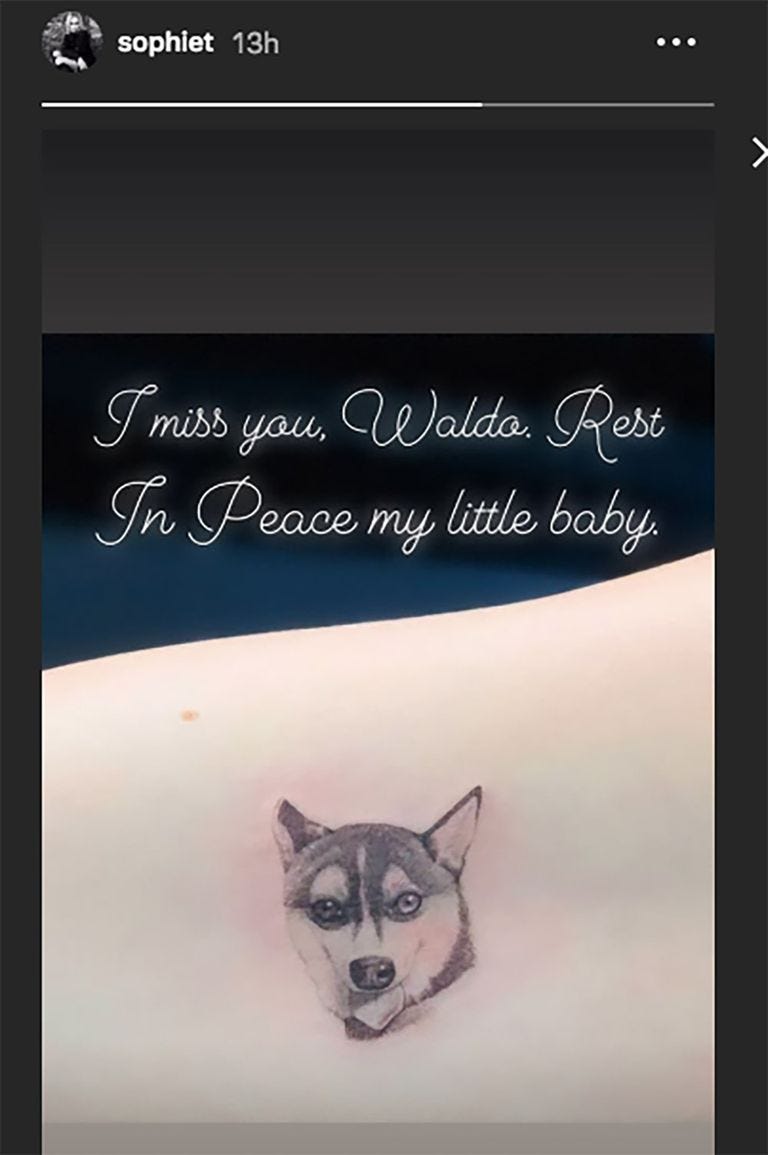 Sophie Turner tattoos: dog tattoo