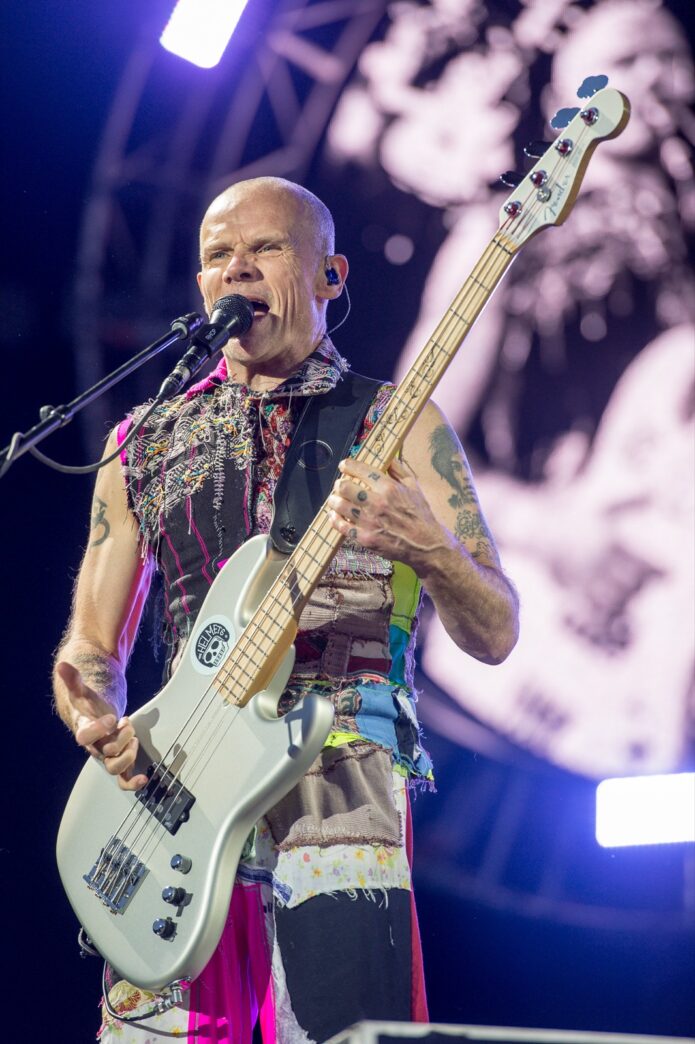 Flea tattoos