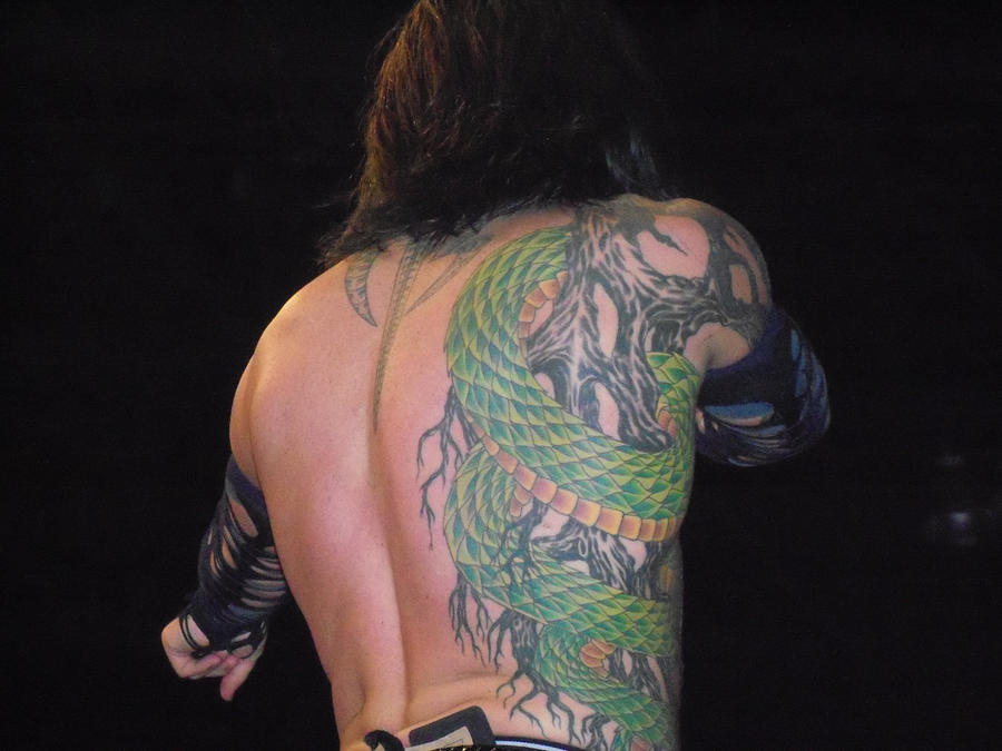 Jeff Hardy snake and roots shoulder tattoo