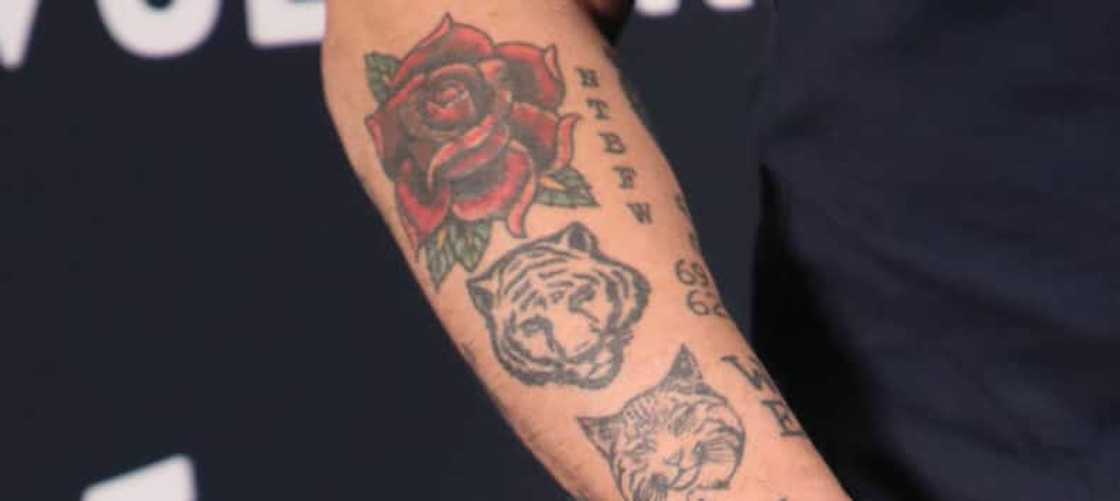 Titus Welliver rose tiger and bobcat forearm tattoos